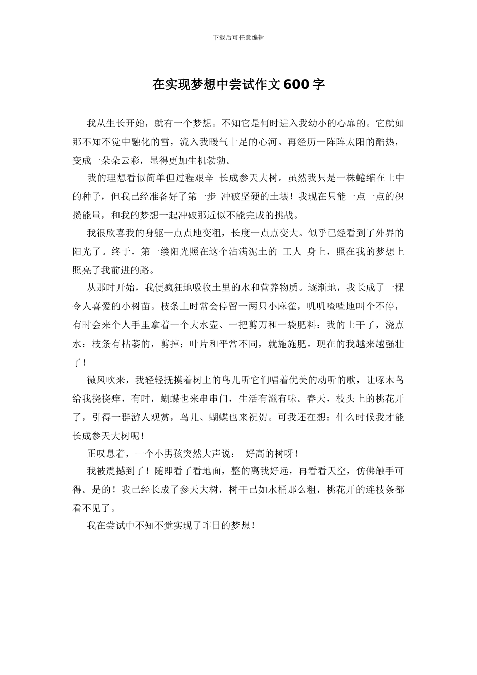 在实现梦想中尝试作文600字_第1页