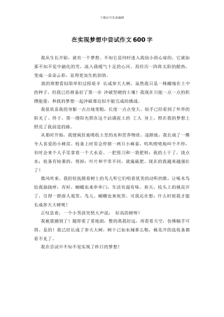 在实现梦想中尝试作文600字