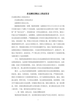 在巡察反馈会上表态发言