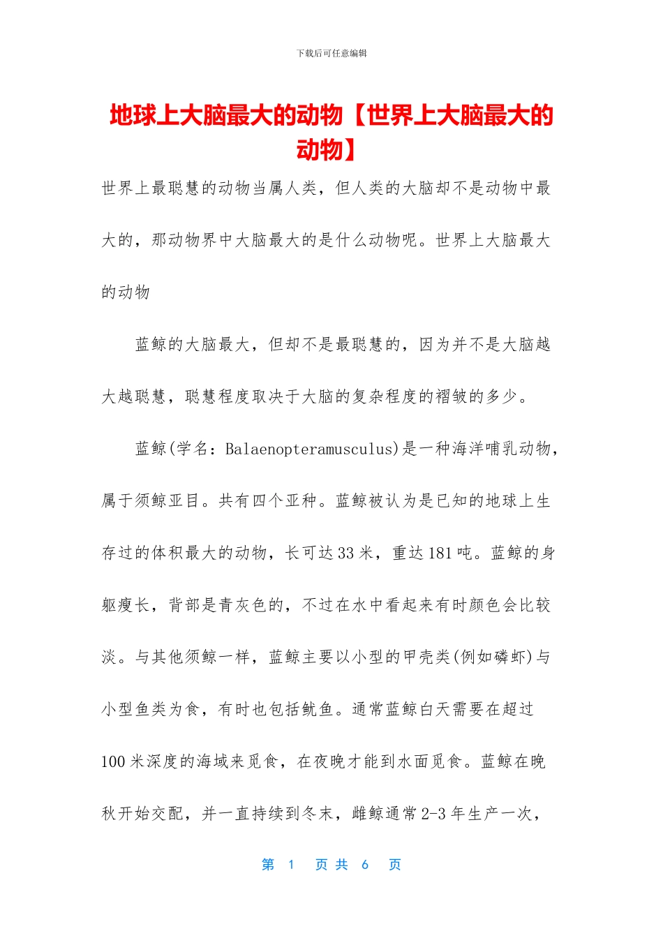 地球上大脑最大的动物_第1页