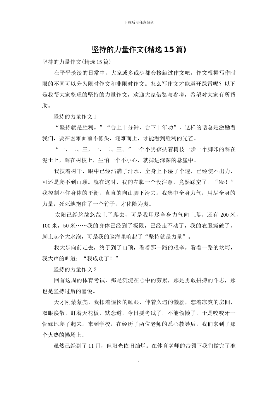 坚持的力量作文_第1页