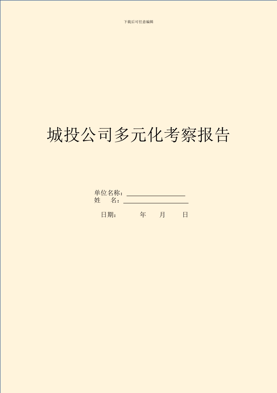 城投公司多元化考察报告_第1页