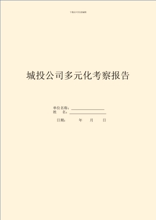 城投公司多元化考察报告