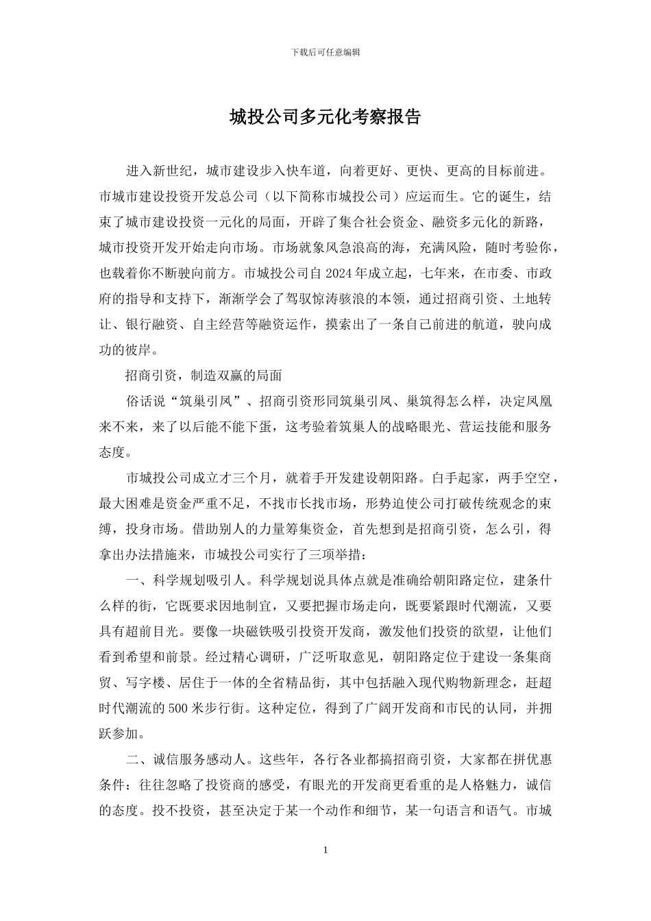 城投公司多元化考察报告_第1页