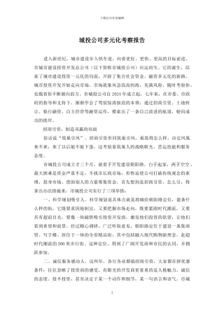 城投公司多元化考察报告