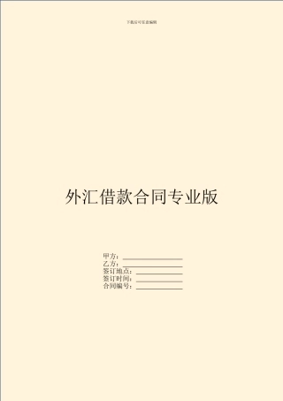 外汇借款合同专业版