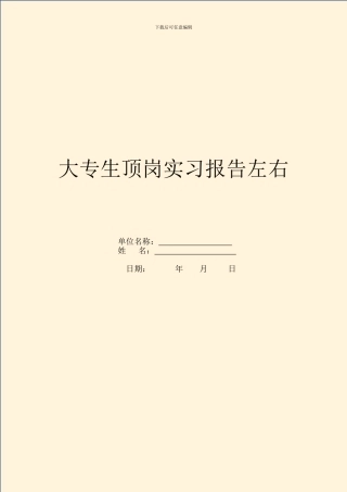 大专生顶岗实习报告左右