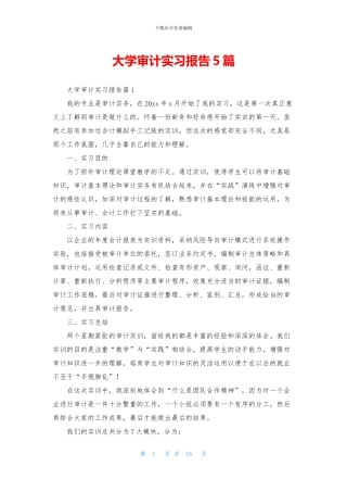 大学审计实习报告5篇