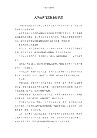 大学生实习工作总结多篇