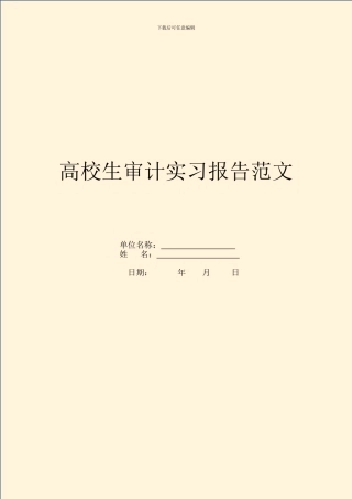 大学生审计实习报告范文