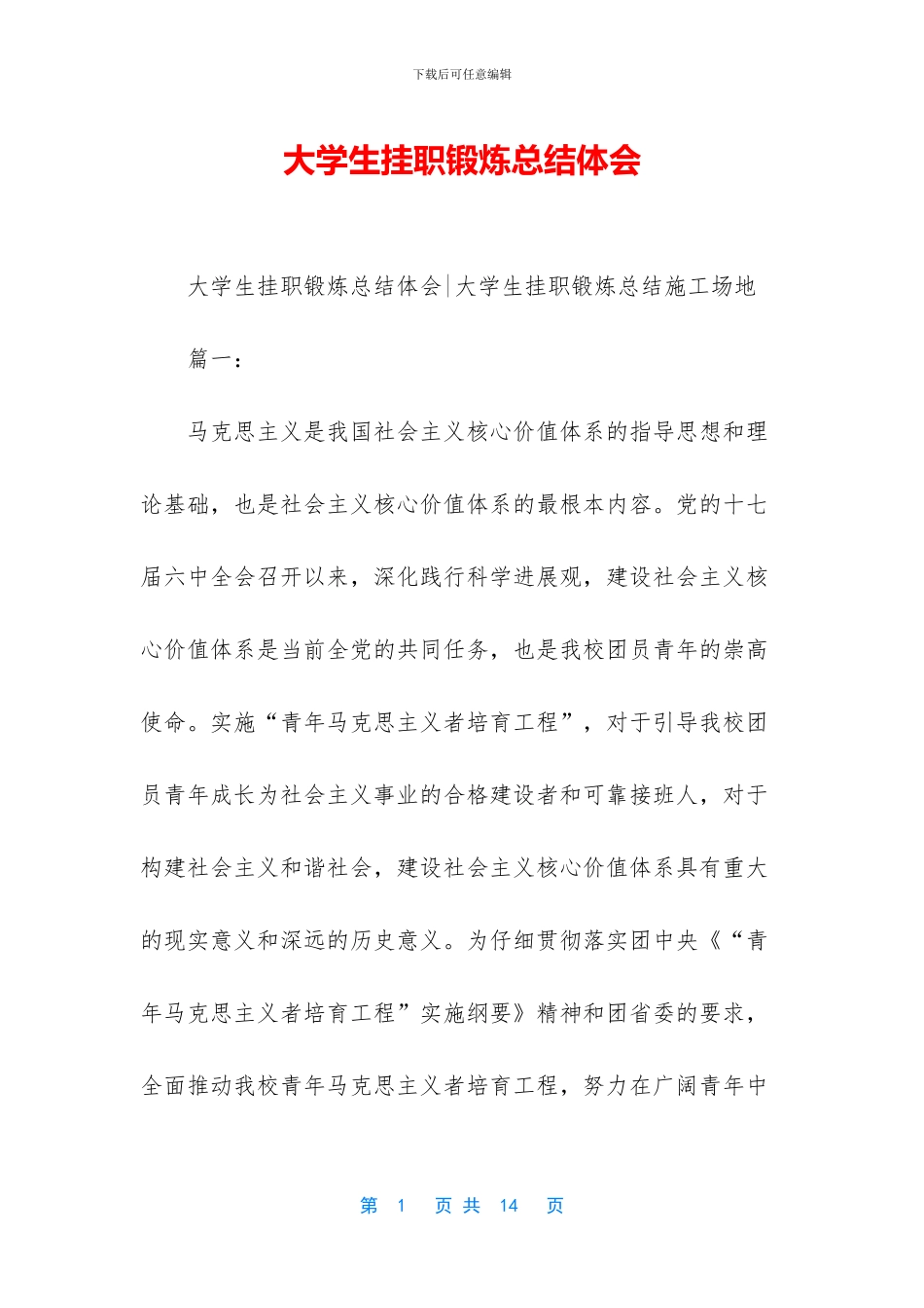 大学生挂职锻炼总结体会_第1页