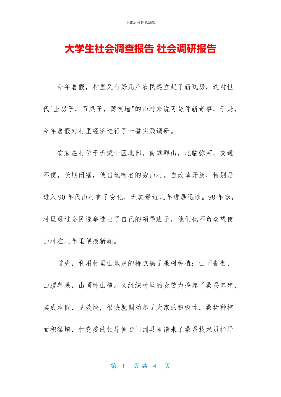 大学生社会调查报告_第1页