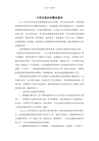大学自查自纠整改报告