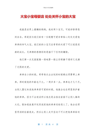 大宝小宝母婴店