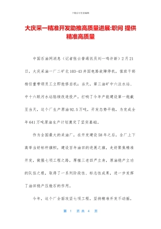 大庆采一精准开发助推高质量发展