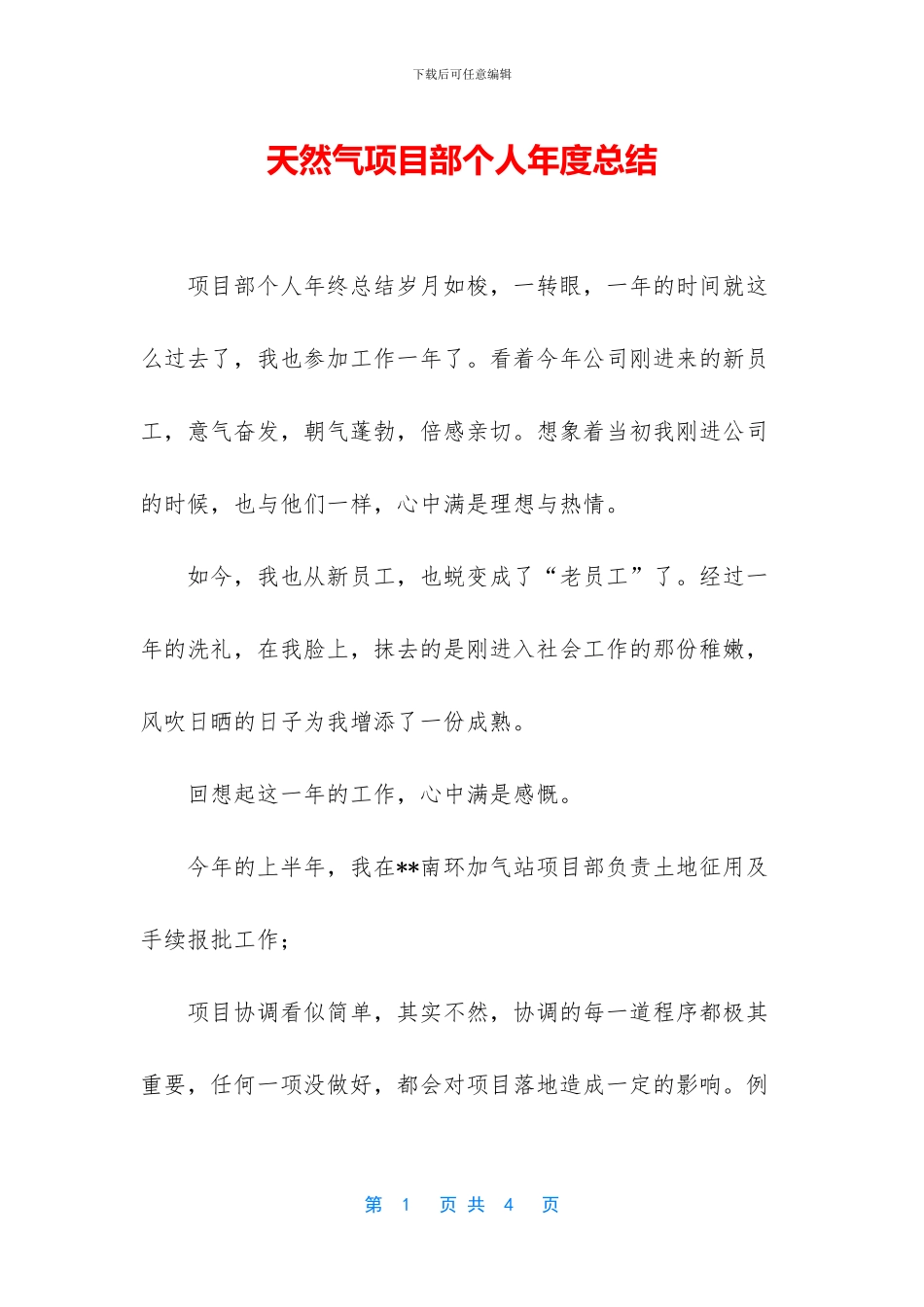 天然气项目部个人年度总结_第1页