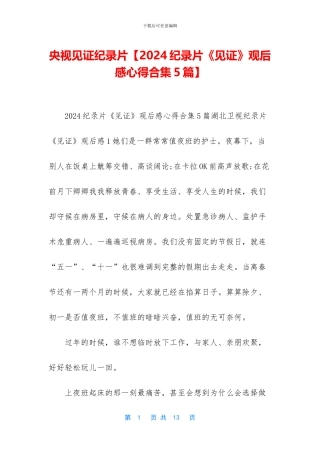 央视见证纪录片