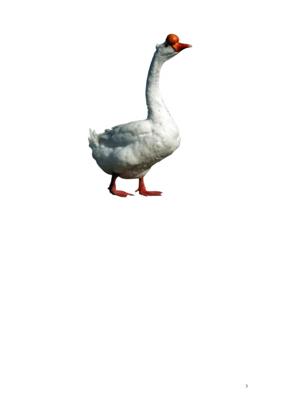 带拼音的儿歌_第3页