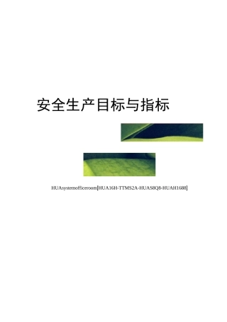 安全生产目标与指标完整版