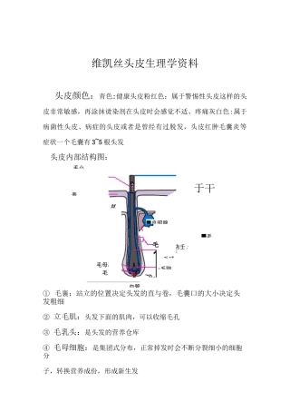 维凯丝头皮生理学