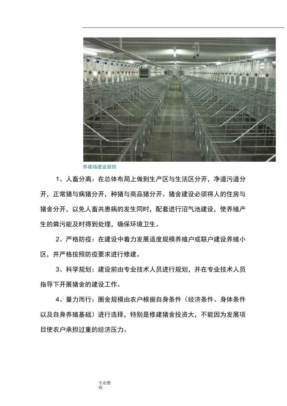 标准化养猪场建设方案详细_第3页