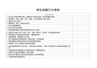 常见违章行为清单