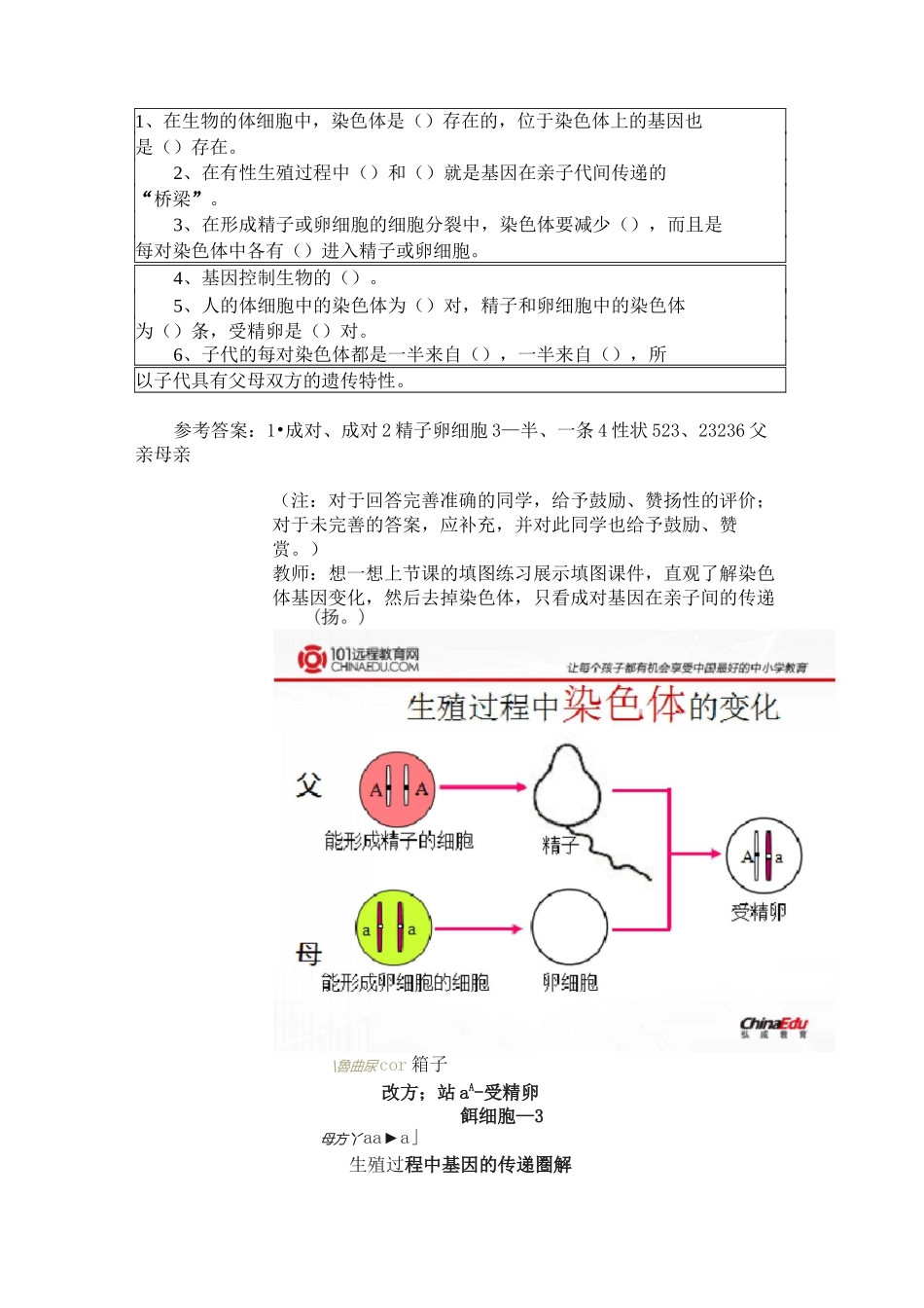 基因的显性与隐性教案_第2页