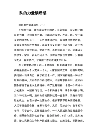 团队的力量读后感