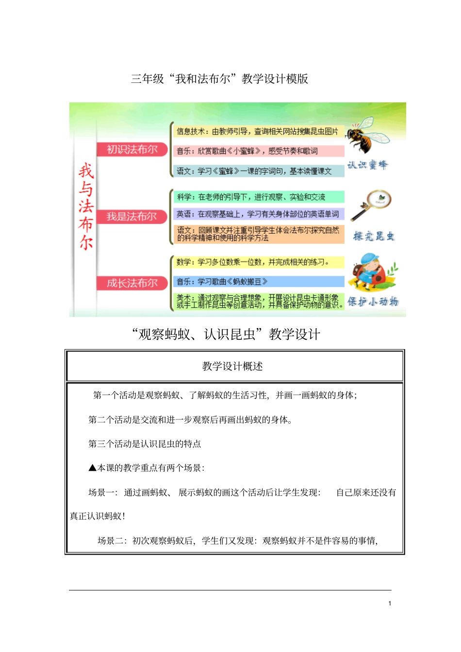 贾小双：科学—观察蚂蚁、认识昆虫修改资料_第1页