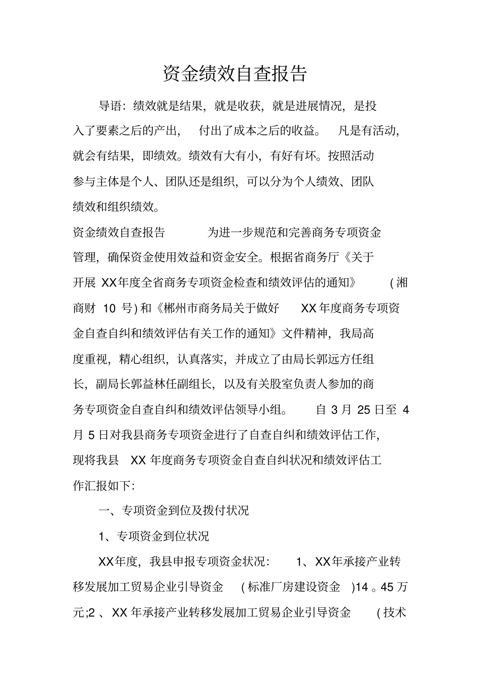 资金绩效自查报告_第1页