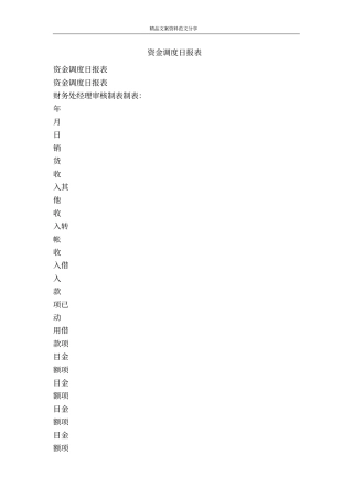 资金调度日报表-精品文案范文