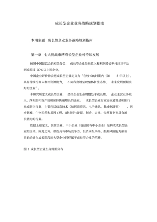 赛迪顾问-成长型企业研究系列之三：成长型企业业务战略规划指引