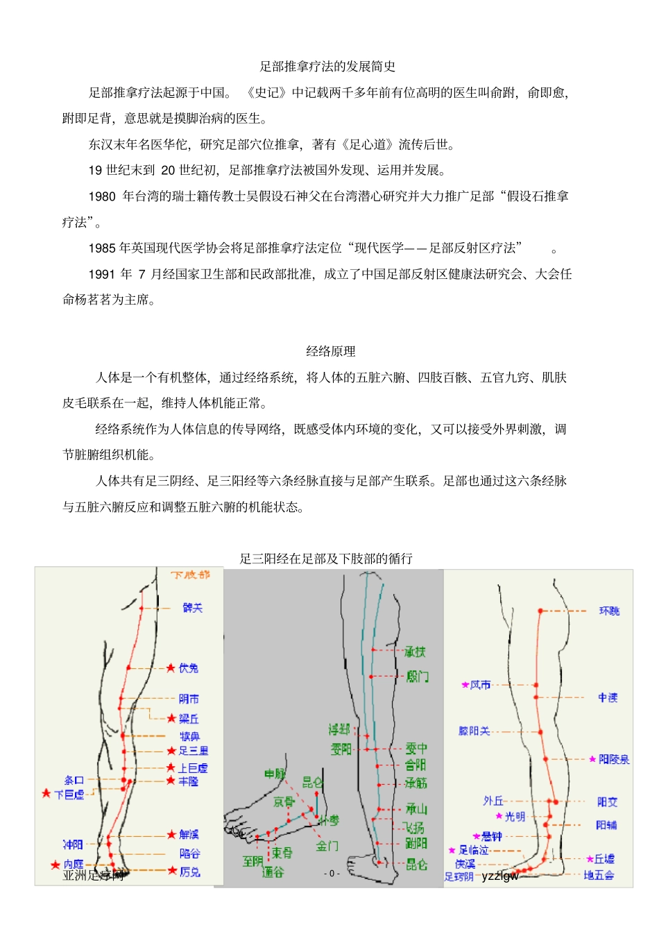 足疗理论基础_第1页