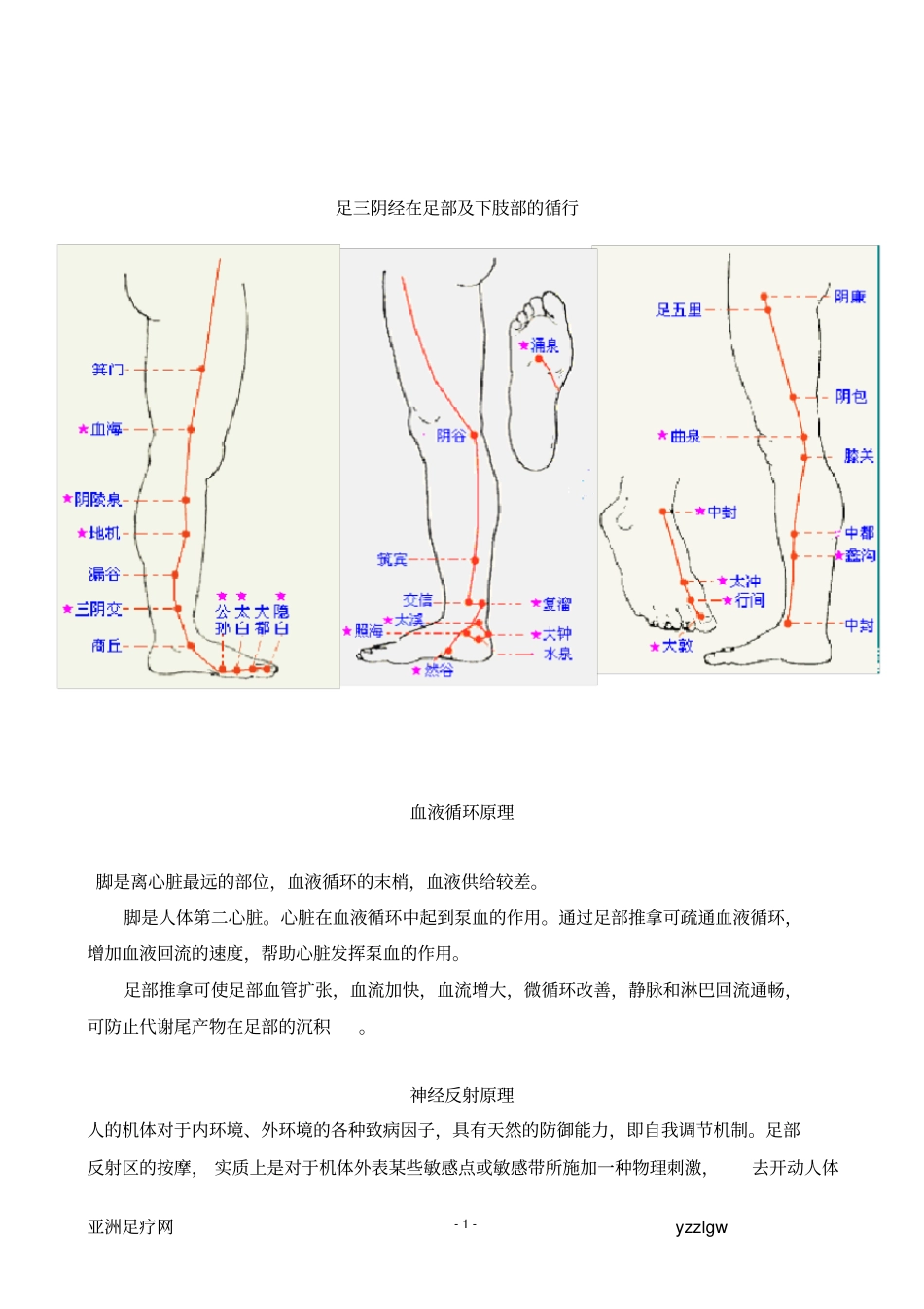 足疗理论基础_第2页
