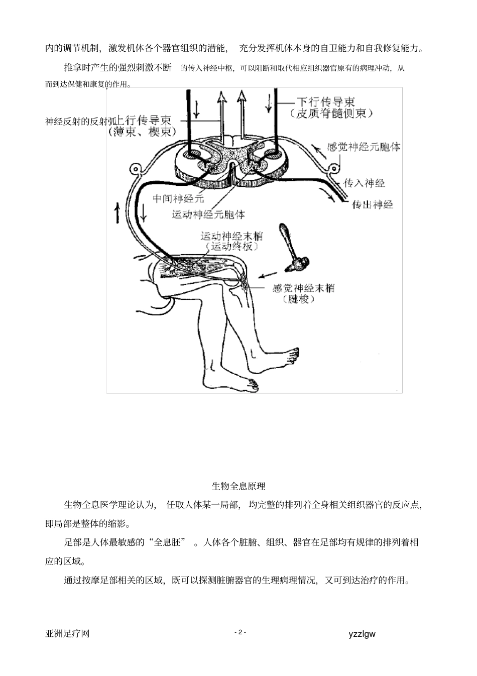 足疗理论基础_第3页