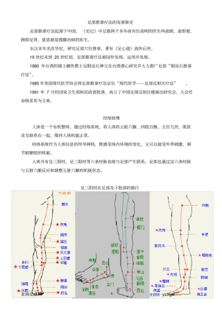 足疗理论基础