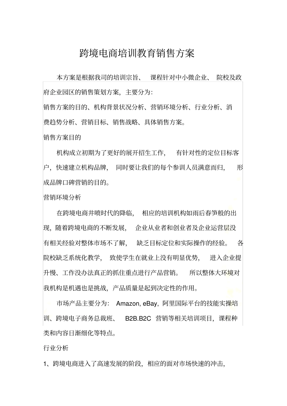 跨境电商销售方案_第2页