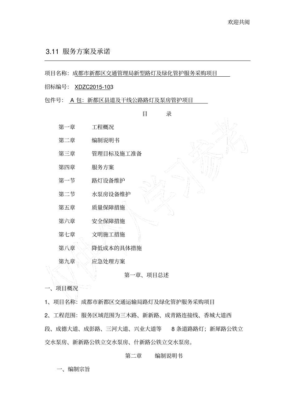 路灯维护服务采购方案_第1页