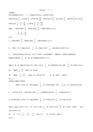转化单位1分数应用题专题总结