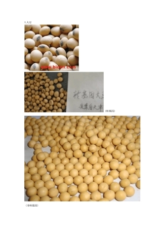 转基因食品如何鉴别汇总