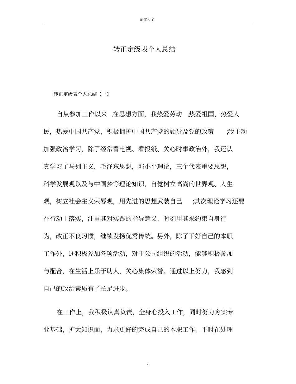 转正定级表个人总结_第1页
