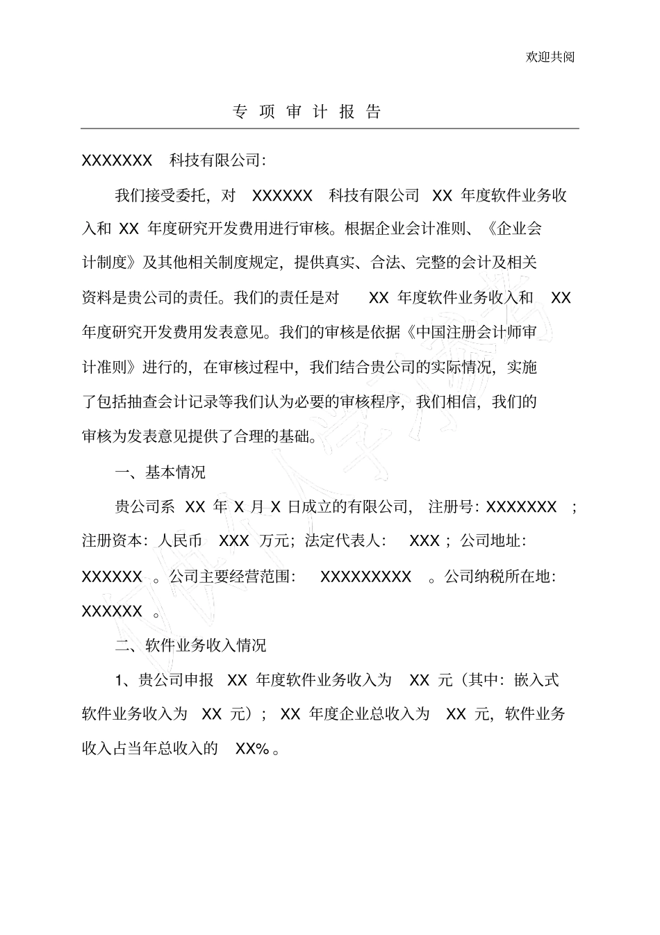 软件企业专项审计报告_第1页