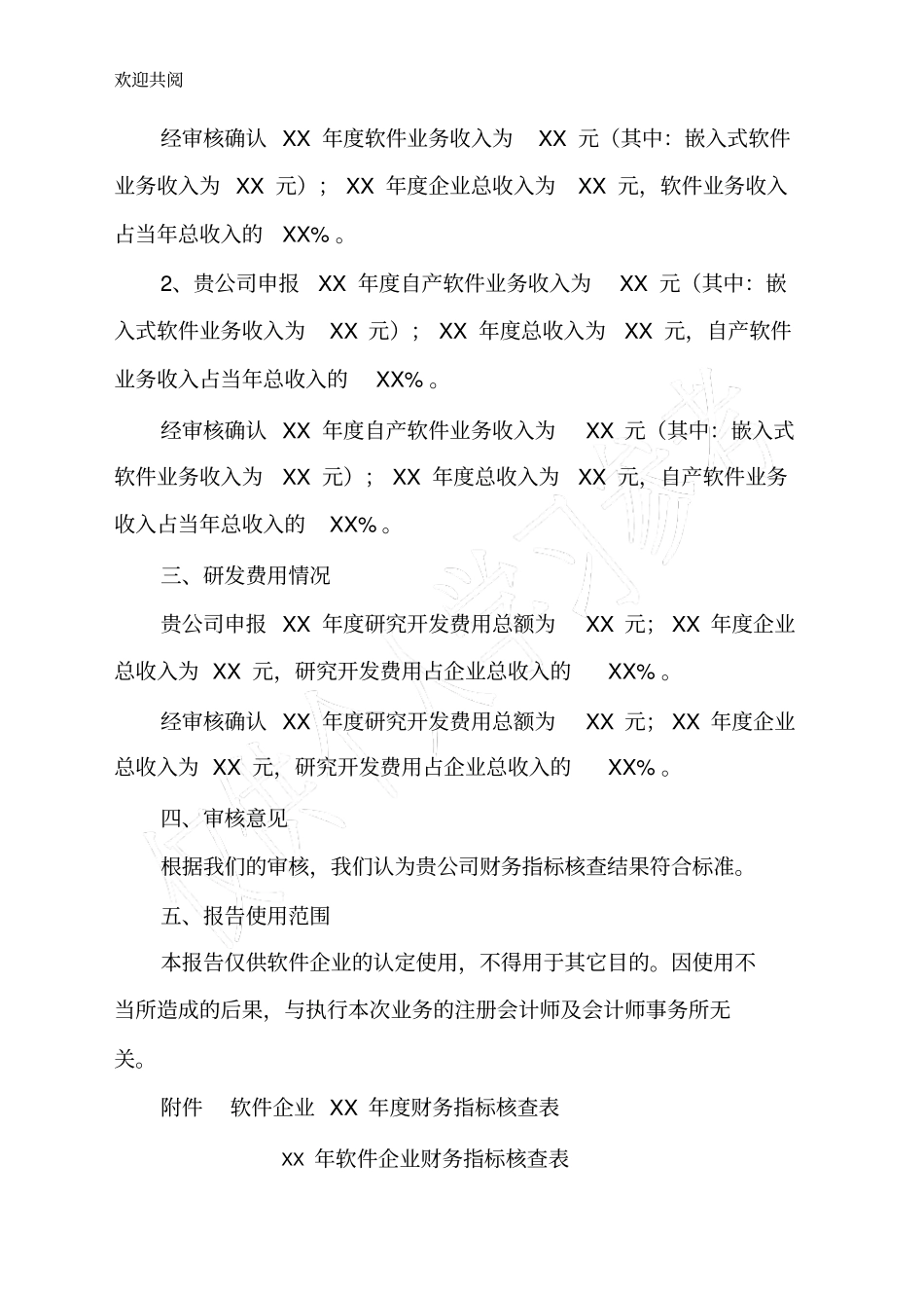 软件企业专项审计报告_第2页