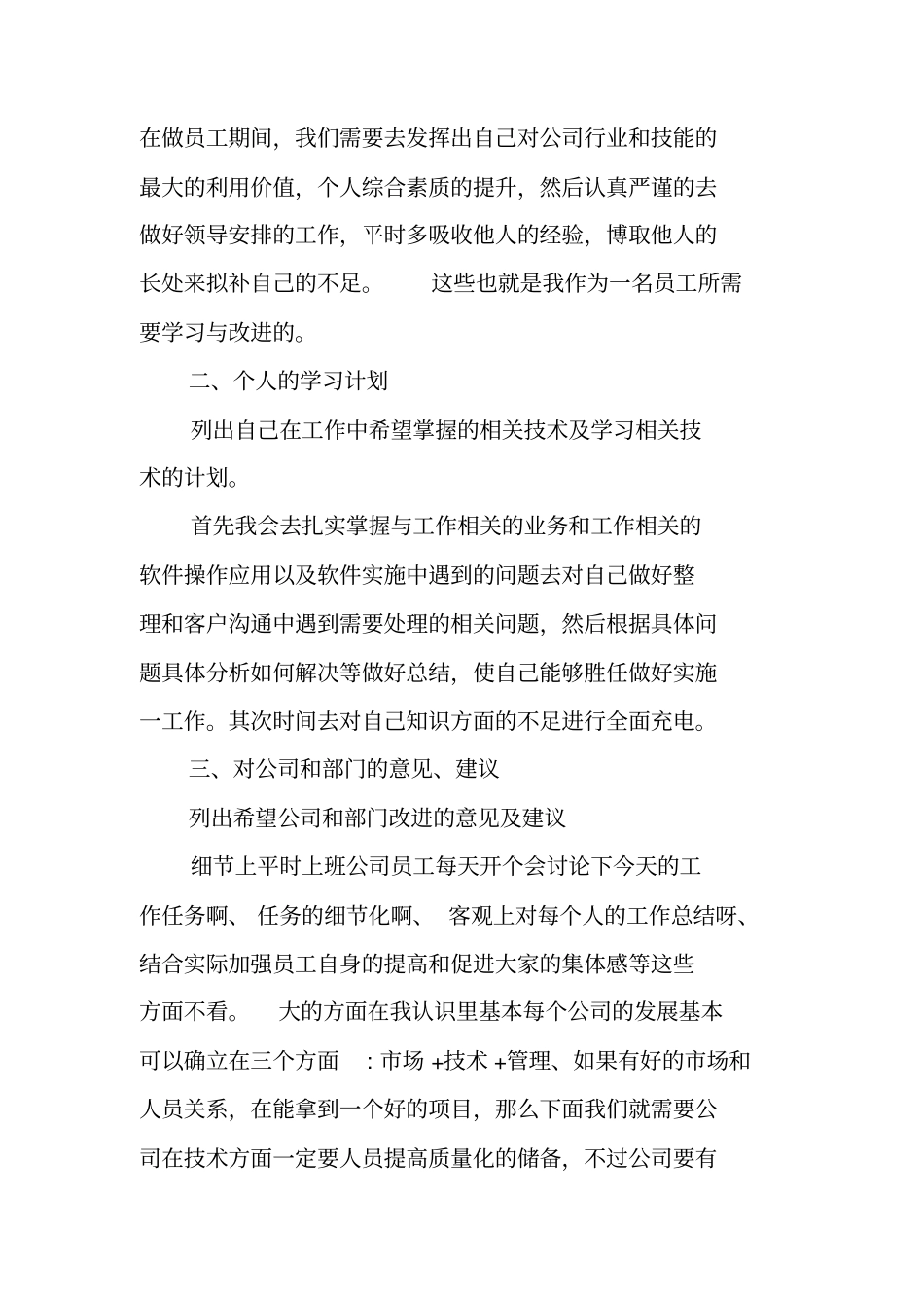 软件实施试用期工作总结_第2页