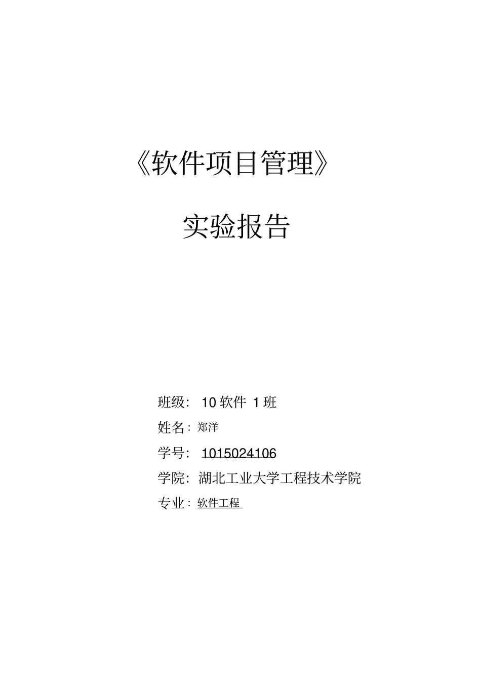 软件项目管理试验总结报告_第1页
