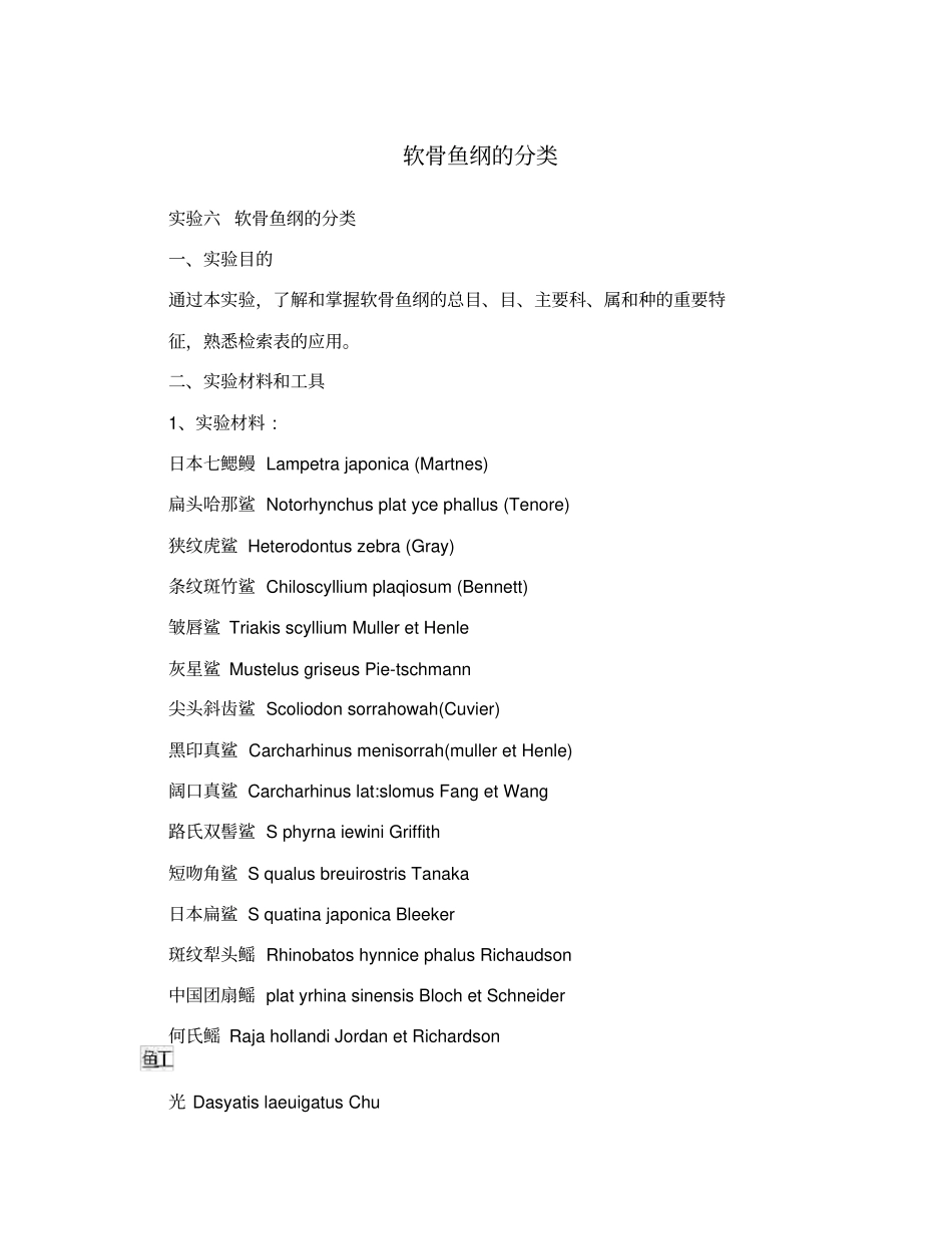 软骨鱼纲的分类_第1页