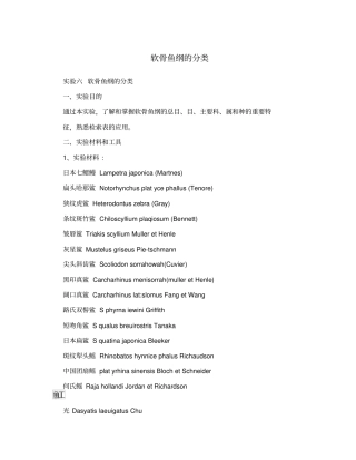 软骨鱼纲的分类