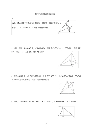 轴对称培优提高训练