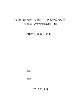 载体桩施工方案