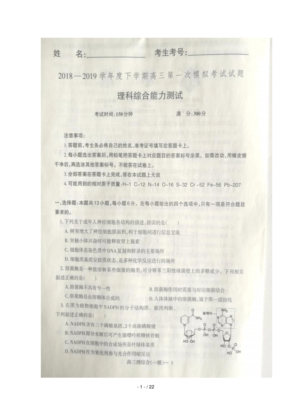 辽宁辽南协作体2019届高三理综下学期第一次模拟考试试题扫描版_第1页